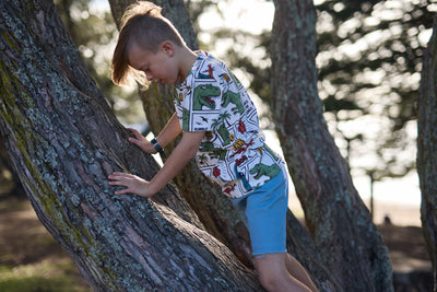 RD2413 SMOKEY BLUE DENIM SHORT