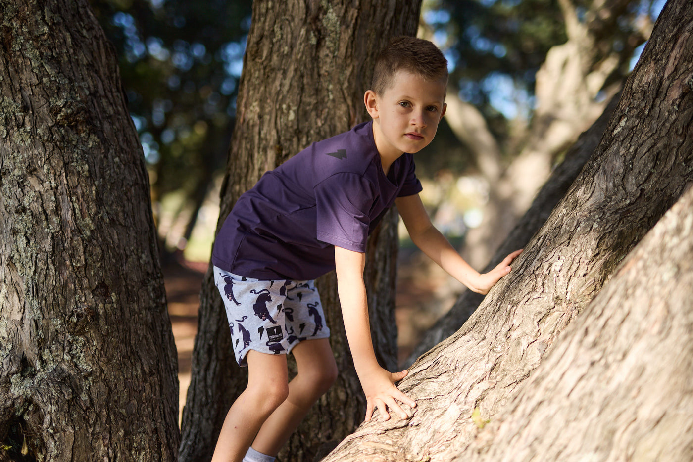 RD2417 FIERCE PANTHERS SHORT