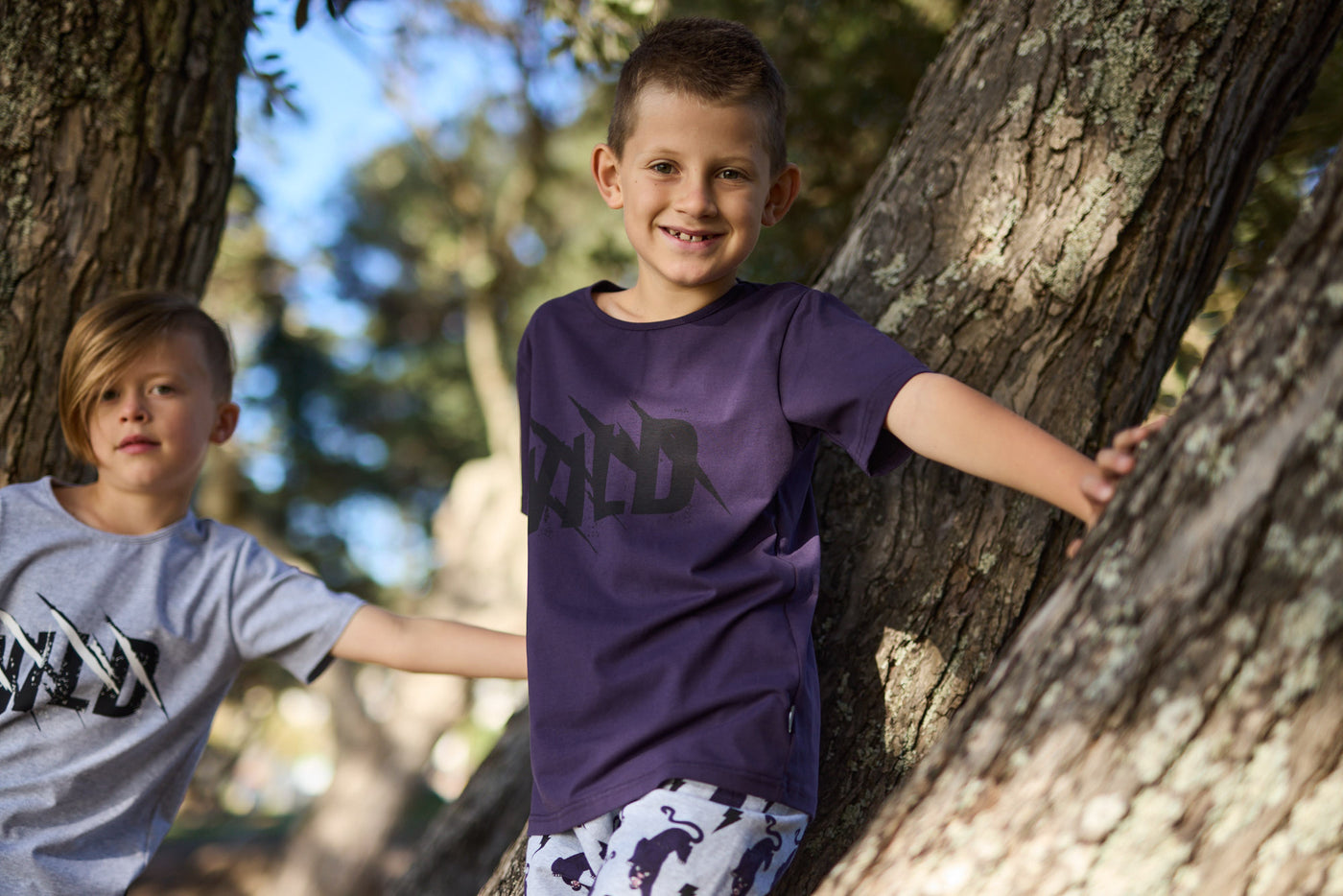 RD2416 WILD TEE IN FIG