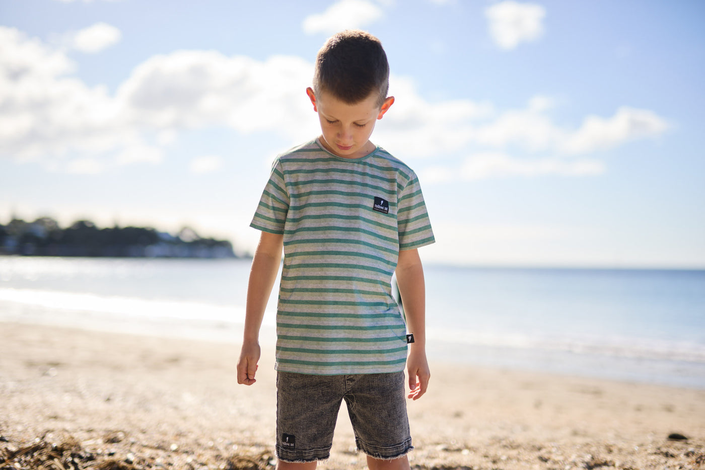 RD2434 GRASSLANDS STRIPE TEE