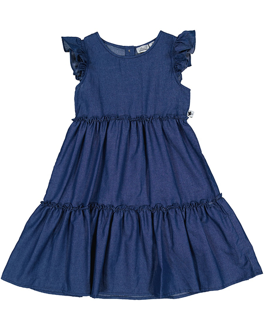 KR2121 CHAMBRAY JASMINE DRESS