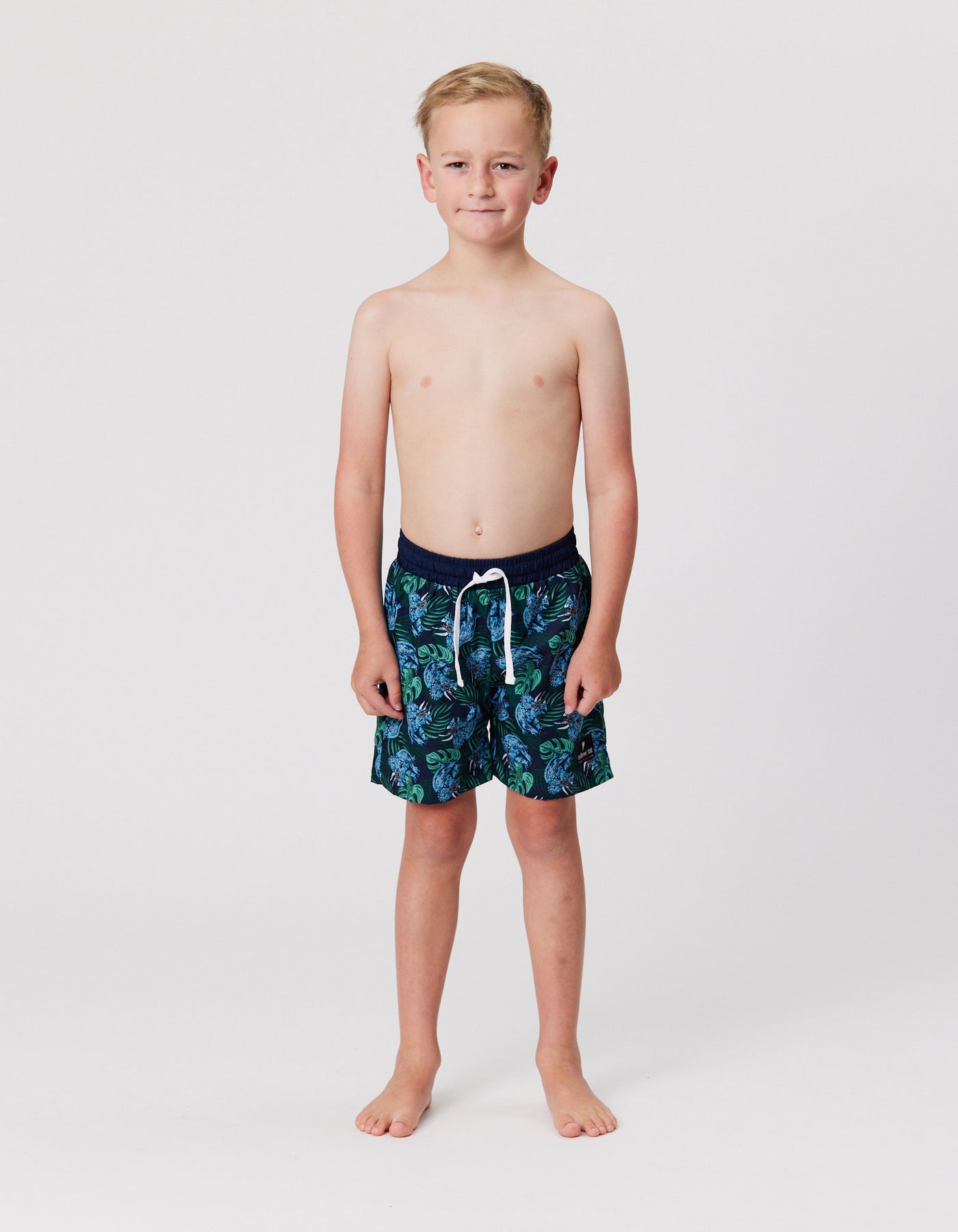 RD2237 TROPICAL DINO BOARDIES