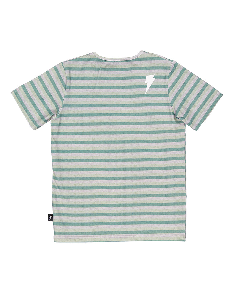 RD2434 GRASSLANDS STRIPE TEE