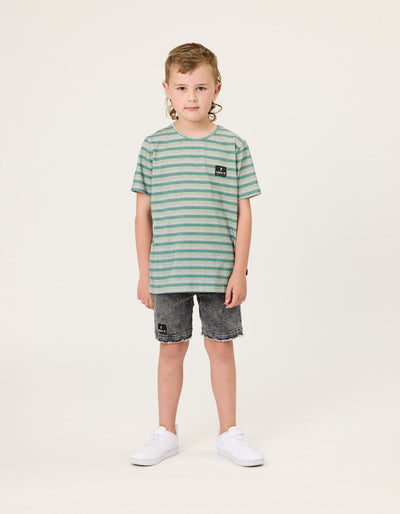 RD2434 GRASSLANDS STRIPE TEE