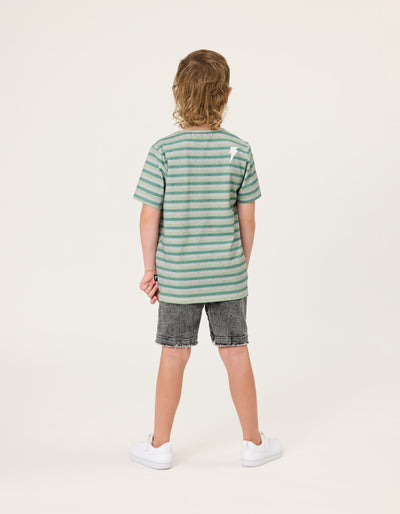 RD2434 GRASSLANDS STRIPE TEE