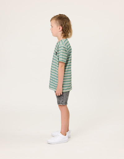 RD2434 GRASSLANDS STRIPE TEE