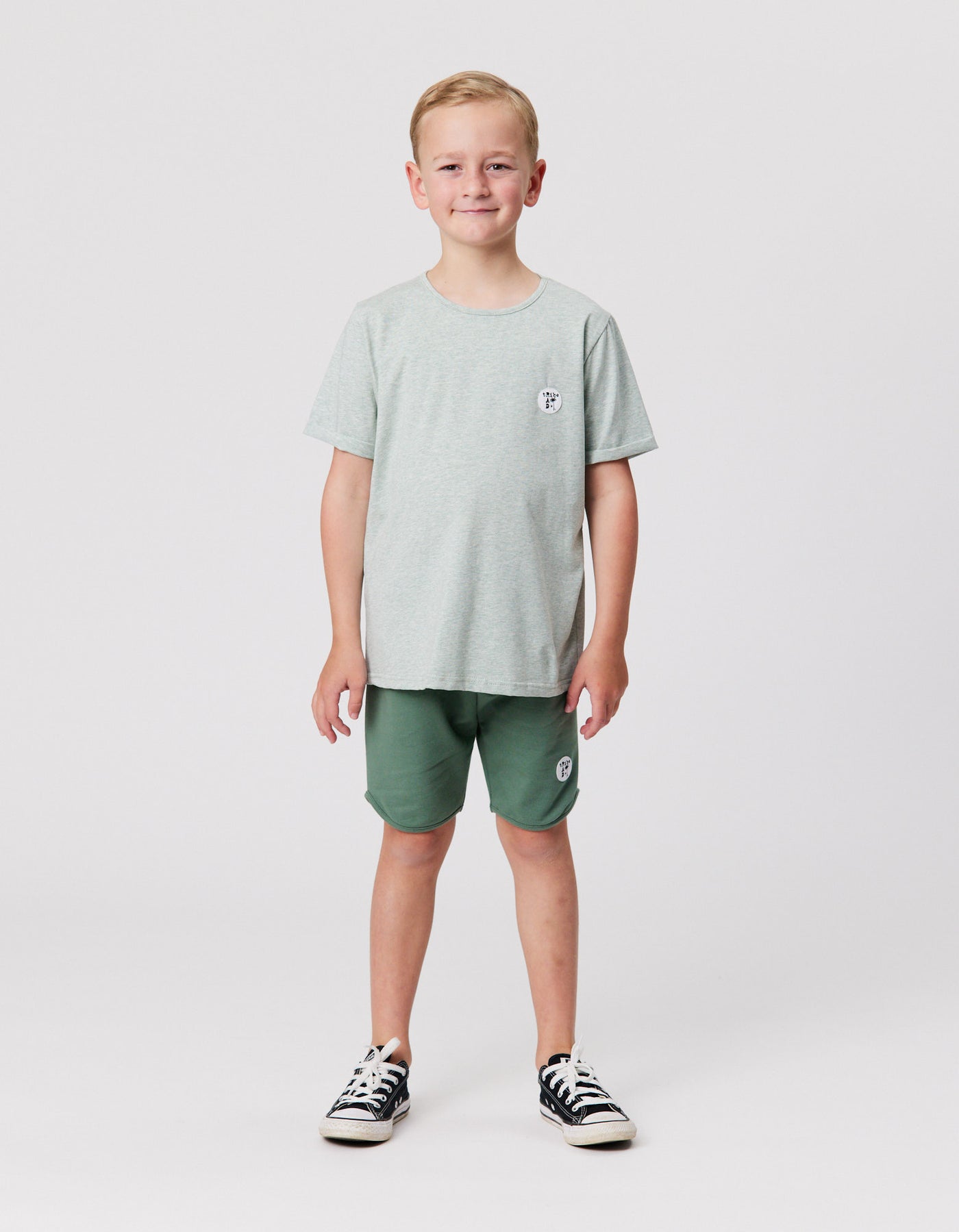 RT1505 RAD TRIBE TEE IN SAGE MARL