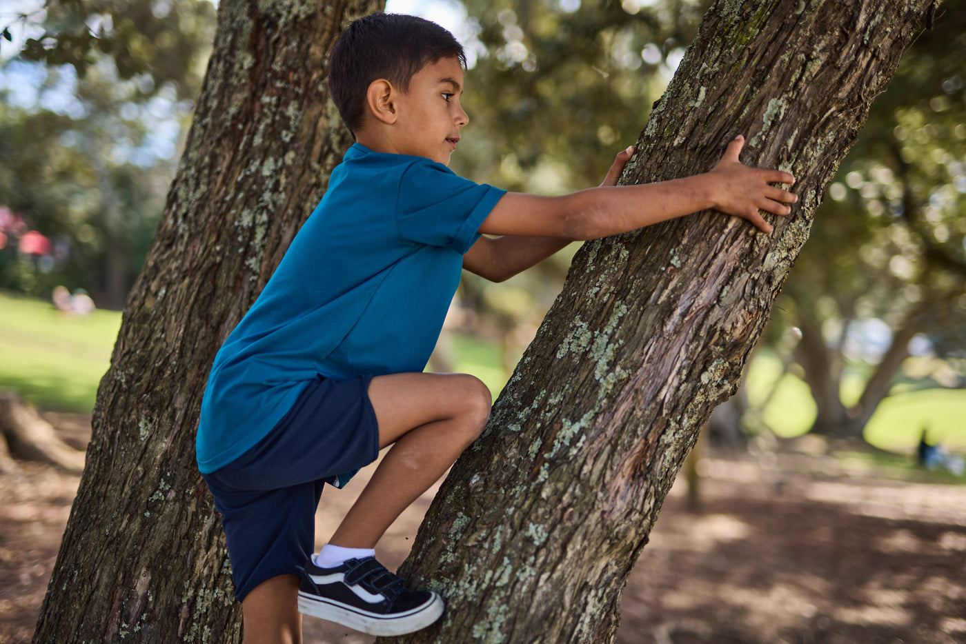 RT1707 RAD TRIBE SHORT IN INK