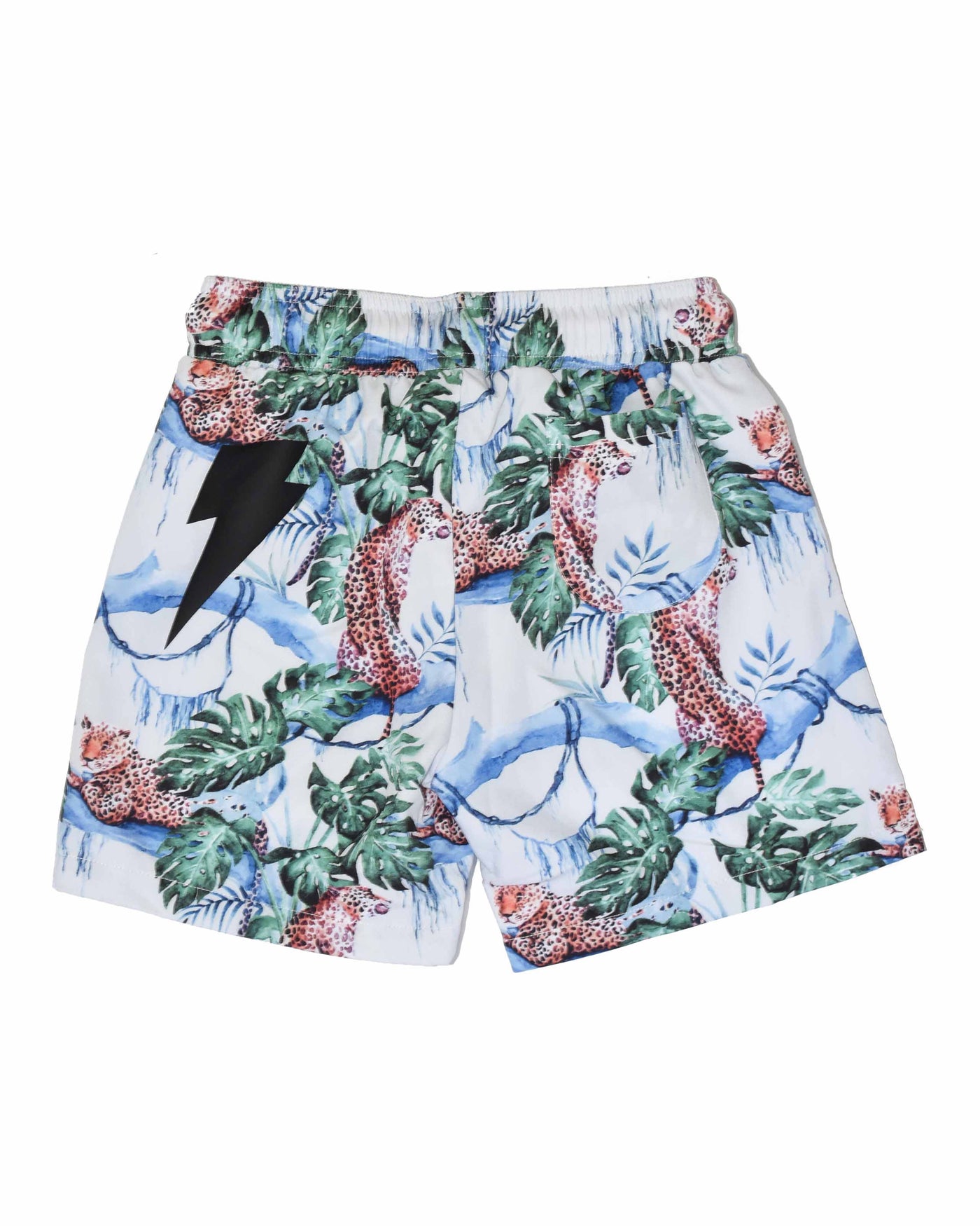 RD1016 BALOO BOARDIE