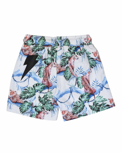 RD1016 BALOO BOARDIE