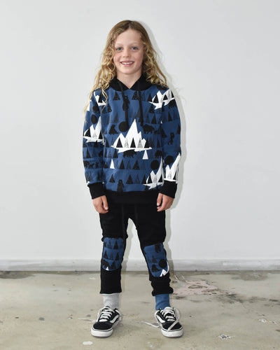 RD1130 THE ALPS HOOD