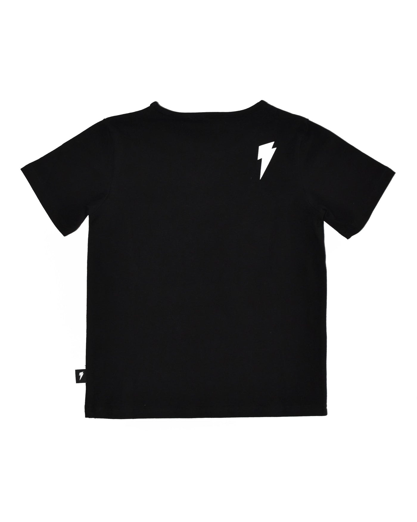 RD1222 STICKS N STONES TEE