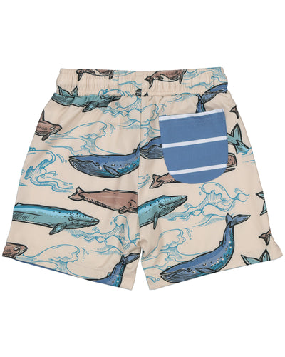 RD1231 BEACHED BOARDIES