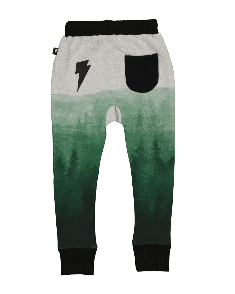 RD1516 RIVER PANT IN FOREST