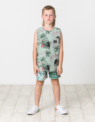 RD1646 COSTA RICA BOARDIES