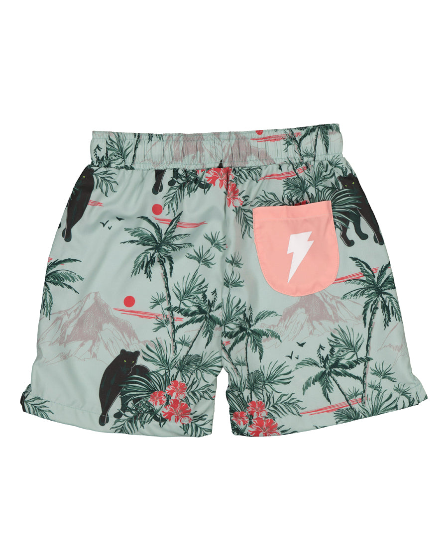 RD1646 COSTA RICA BOARDIES