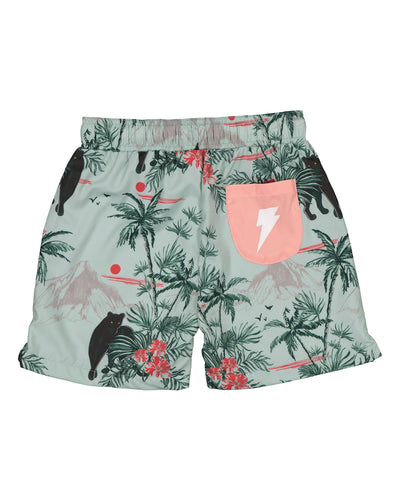 RD1646 COSTA RICA BOARDIES