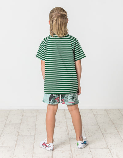 RD1646 COSTA RICA BOARDIES