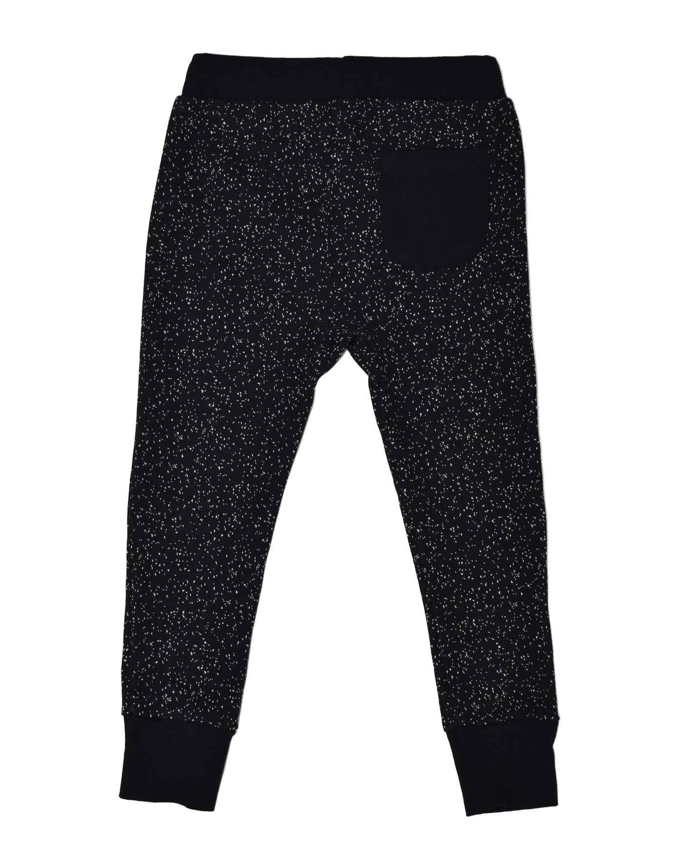 RT0411 TRIBE PANT in SPECKLE